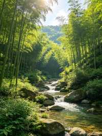 8.18桐廬現場實況，真的崩潰了