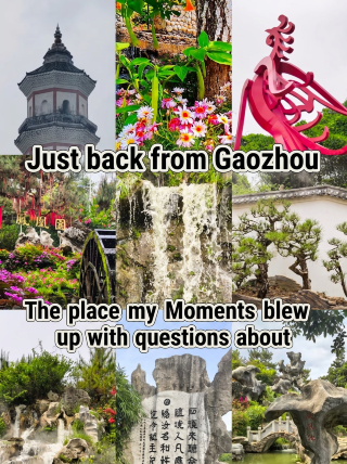 I've returned from Gaozhou, and my social media feed is blowing up with questions about this place.