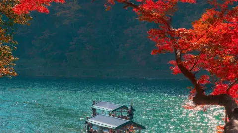Cố đô Kyoto cổ kính, một thành phố rực rỡ sắc màu mùa thu: Một cuộc hẹn hò cuối thu ở Kyoto. — traveler post in Kyoto