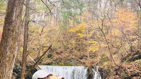 Wisata Musim Gugur 6H5M di Gunung Changbai Saat Libur Hari Nasional (4 Oktober). — traveler post in Benxi