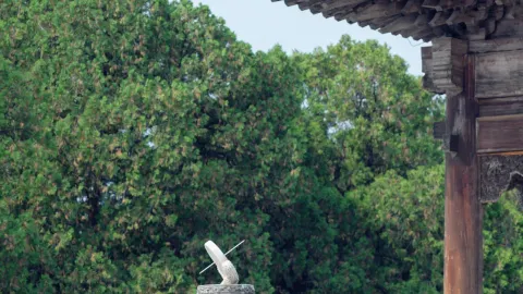 The Golden Phoebe Hall with 1,318 Dragons — traveler post in Baoding