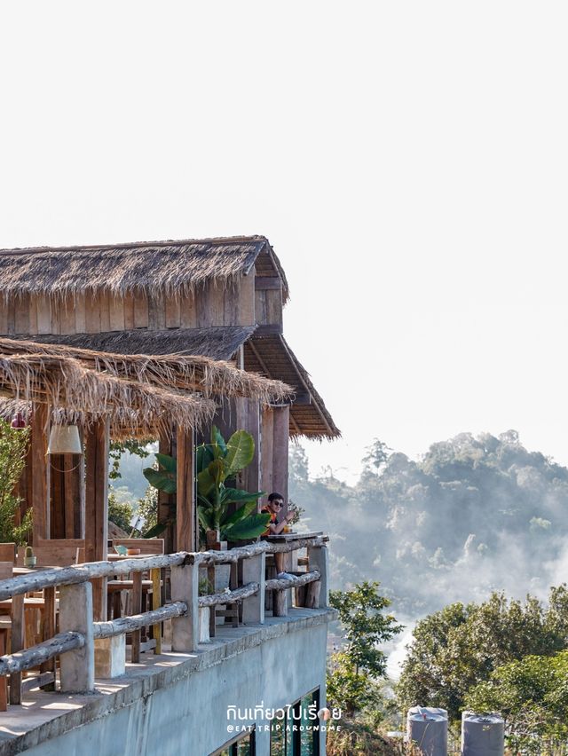 Miyo coffee & bar คาเฟ่วิวดีบนดอยช้าง