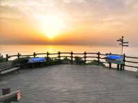 일출맛집! 수선화도 예쁜 오륙도해맞이공원🌅