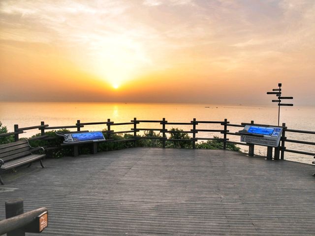 일출맛집! 수선화도 예쁜 오륙도해맞이공원🌅