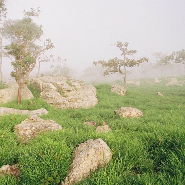 ลานหินงาม