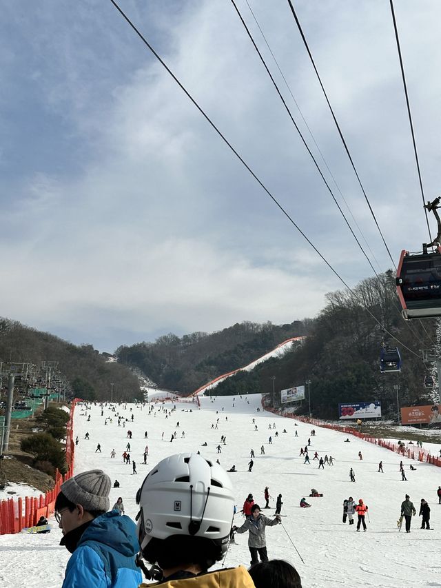 인프라 좋은 스키장, 홍천 비발디파크 스키장🎿