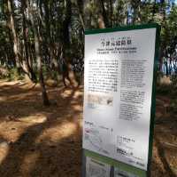 【福岡市】歴史を感じる史跡🎶「元寇防塁」
