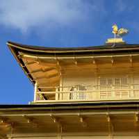 Buddhist temple in Kyoto covered in gold leaf