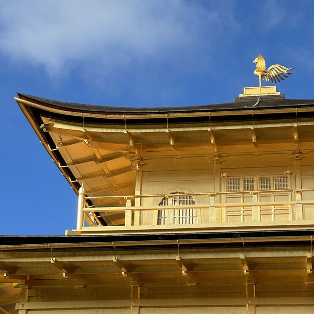 Buddhist temple in Kyoto covered in gold leaf