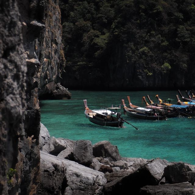 เกาะพีพี อ่าวมาหย่า-ปิเละลากูน-เกาะไผ่ จ.กระบี่  🌊