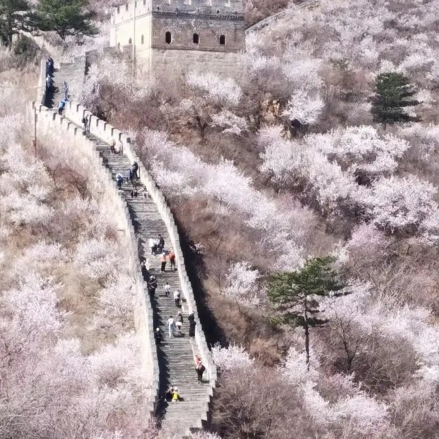 北京黃花城水長城花海