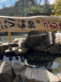 適合親子玩足一日 - 姫路中央公園