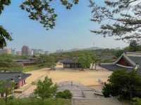 [창경궁]  서울 도심 속 고궁 나들이