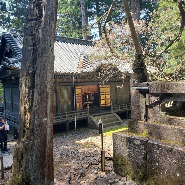 400年以上嘅歴史遺產 @ 日光東照宮