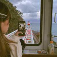 人氣打卡🚋釜山天空膠囊列車