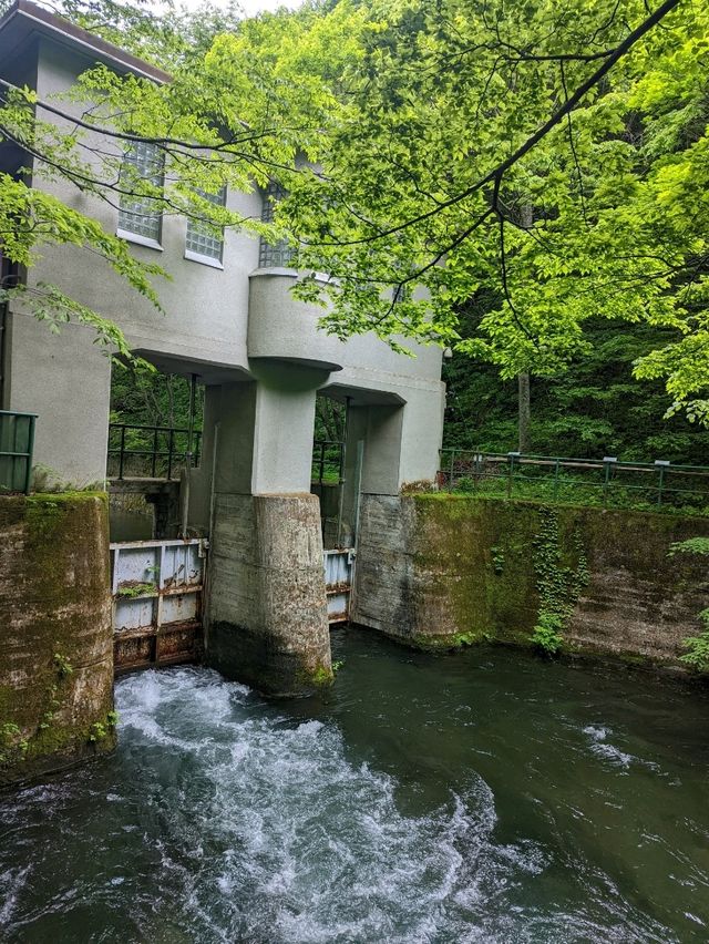 【ミシュラン2つ星】青森の絶景美「奥入瀬渓流」