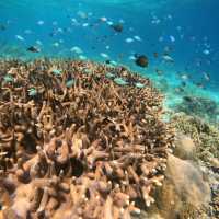 Serene Lombok and Party scenes at Gili