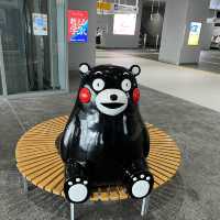 Kumamoto. The famous black bear 🐻 city