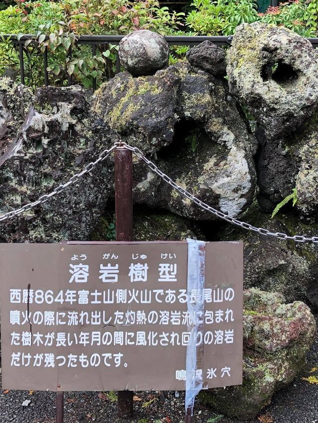 鳴澤冰穴😚富士山🗻下美景❤️一日遊必去‼️