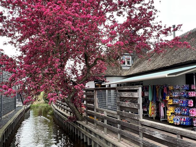 🚤 Exploring the Charming Canals of Giethoorn