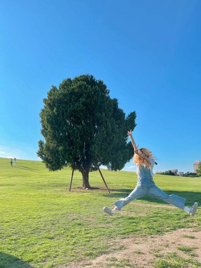 [올림픽공원]나홀로 나무의 원조 폼 미쳤따🌳