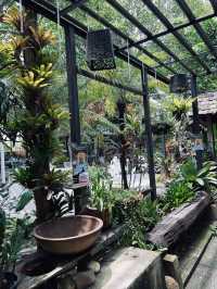 ร้านแนวบ้านสวนนน 🌳🪵🌾
