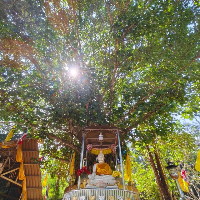 👍🏻Wonderful Thai temple