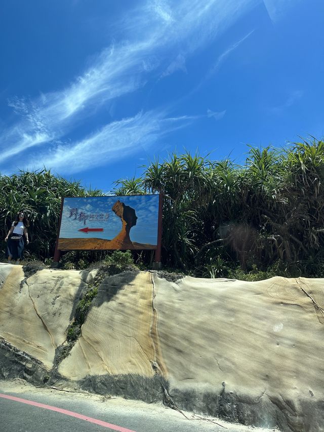 a geopark an hour away from taipei 🏞️🌿🌴