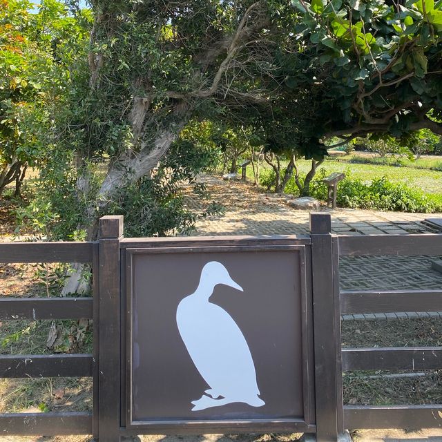 大安水蓑衣生態教育園區🦆