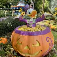 🎃迪士尼樂園南瓜處處迎接萬聖節🎃