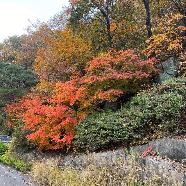 Hwadam Botanic Garden in Autumn season 