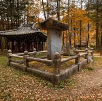 Beautiful Autumn View of Beopjusa temple 