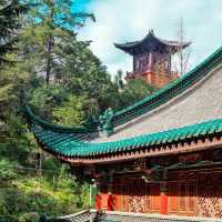 🐉🕊️ 龍鳳寺～靈性之旅！🏯🌸🔮