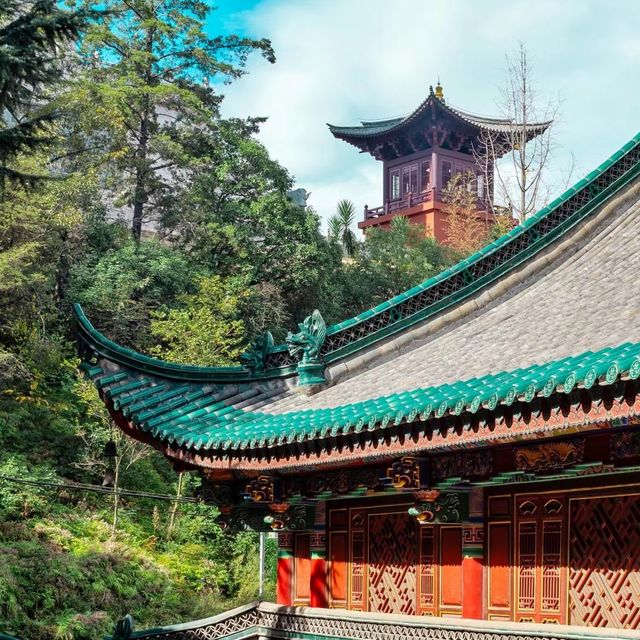 🐉🕊️ 龍鳳寺～靈性之旅！🏯🌸🔮