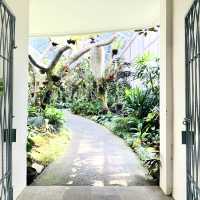【インドネシア】壮大な植物園　“Kebun Raya Bogor”
