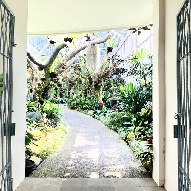 【インドネシア】壮大な植物園　“Kebun Raya Bogor”