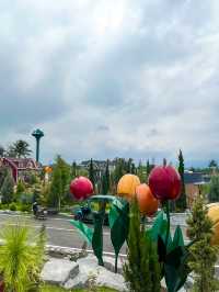 คาเฟ่เขาใหญ่ฟิลยุโรป