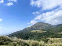 陽明山～牛奶湖-冷水坑-擎天崗
