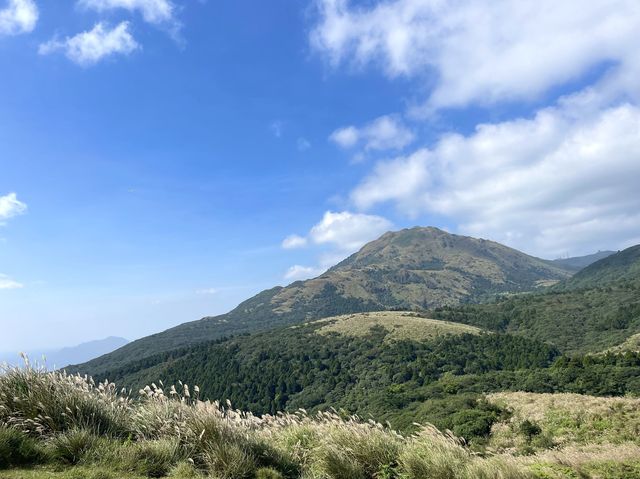 陽明山～牛奶湖-冷水坑-擎天崗