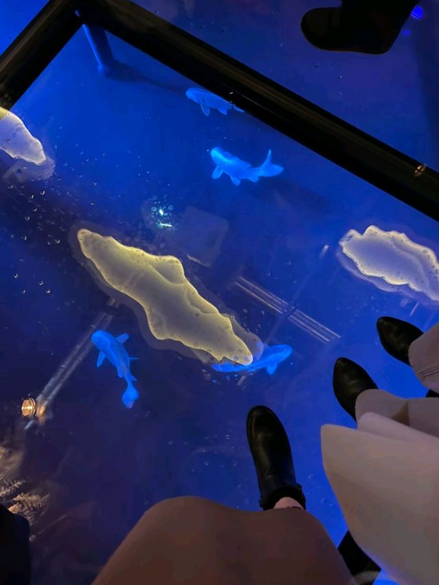 新感覚の都市型水族館☆アトア神戸