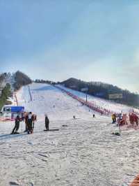 겨울 여행 최고봉, 홍천 비발디파크❄️⛷️🏂