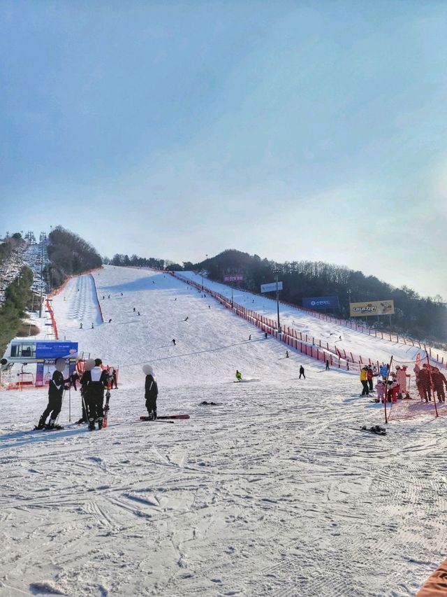 겨울 여행 최고봉, 홍천 비발디파크❄️⛷️🏂