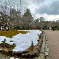 【石川県金沢市】日本庭園🌳日本の文化に触れる