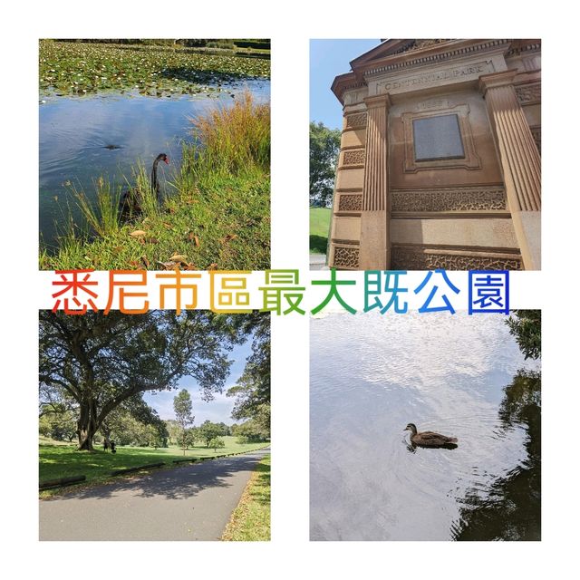 悉尼市區最大既公園～Centennial Park