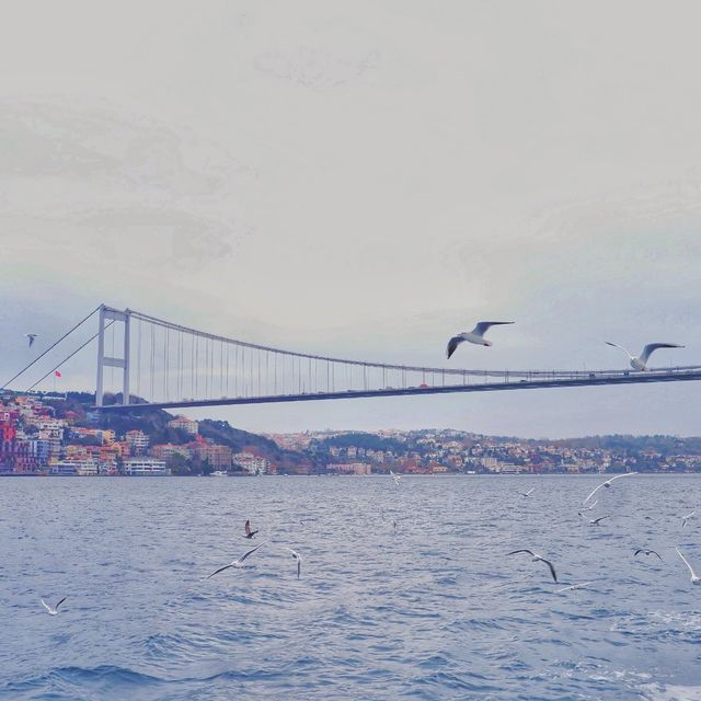 ⛴🕊 ล่องเรือชมช่องแคบบอสฟอรัส⚓️