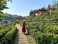 บ้านรักไทย-สักครั้งในชีวิต สัมผัสกับบรรยากาศที่นี่