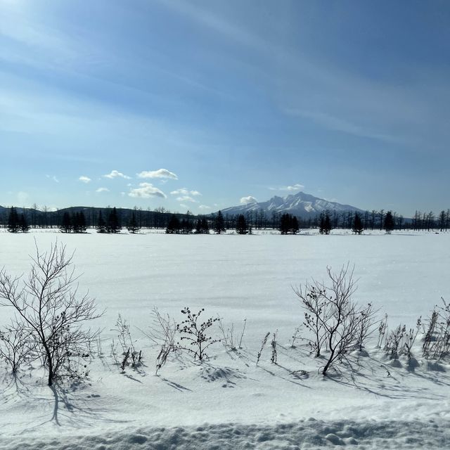 【北海道】美しい景色を眺めながらの移動