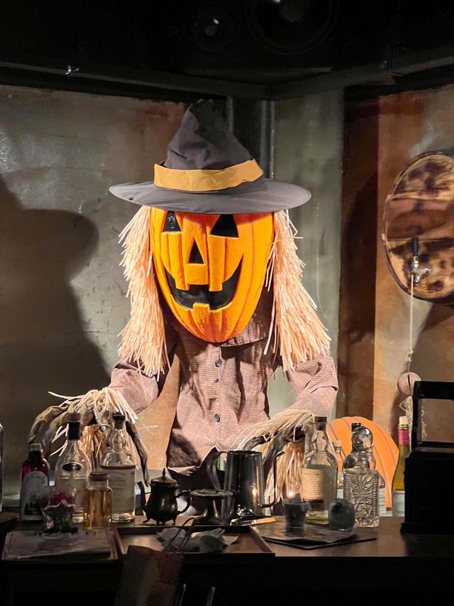 한국에서 즐기는 해리포터 컨셉 카페🧙‍♀️🪄