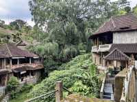 Campuhan Ridge Walk in Bali