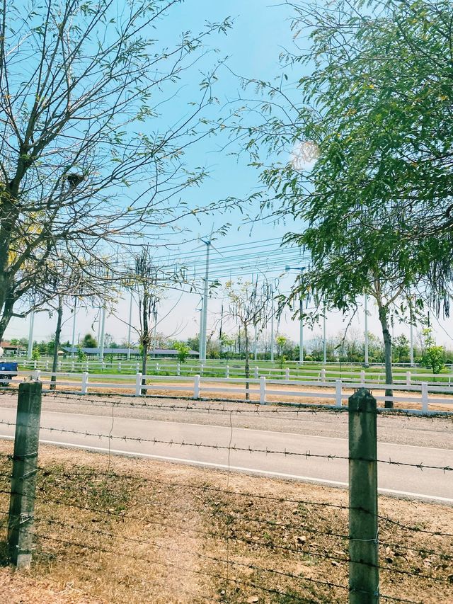 โครงการชั่งหัวมัน จ.เพชรบุรี